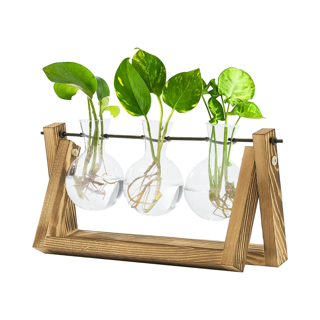 Estação de propagação de plantas hidropónicas com suporte de madeira 3 vasos de vidro para cultivo de plantas em água e decoração