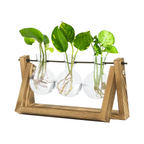 Estação de propagação de plantas hidropónicas com suporte de madeira 3 vasos de vidro para cultivo de plantas em água e decoração