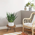 Supporto per piante in legno, supporto rotondo resistente per vasi a 3 gambe per vasi di varie dimensioni, espositore per fiori per casa e giardino, patio interno ed esterno
