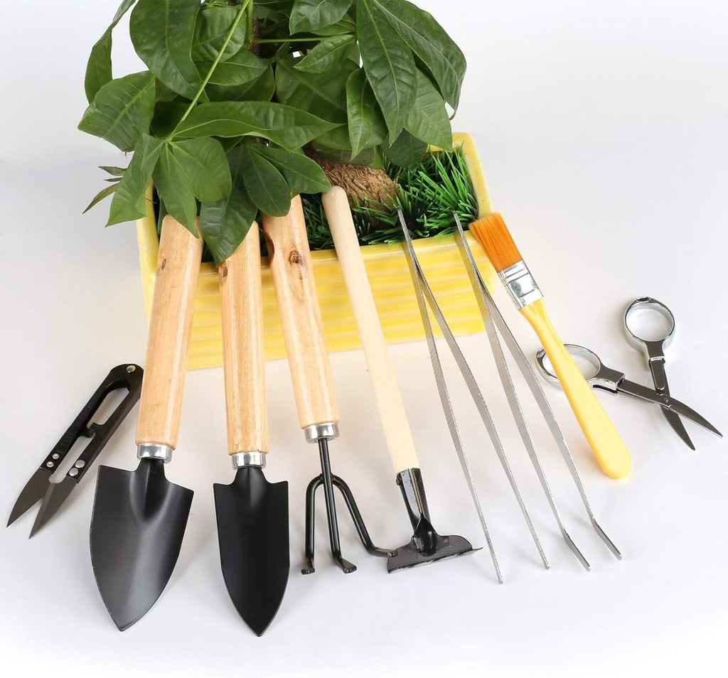 10 Peças Mini Ferramentas para Bonsai Kits de Ferramentas de Jardinagem Plantação de Cactos Suculentas Plantas Vaso