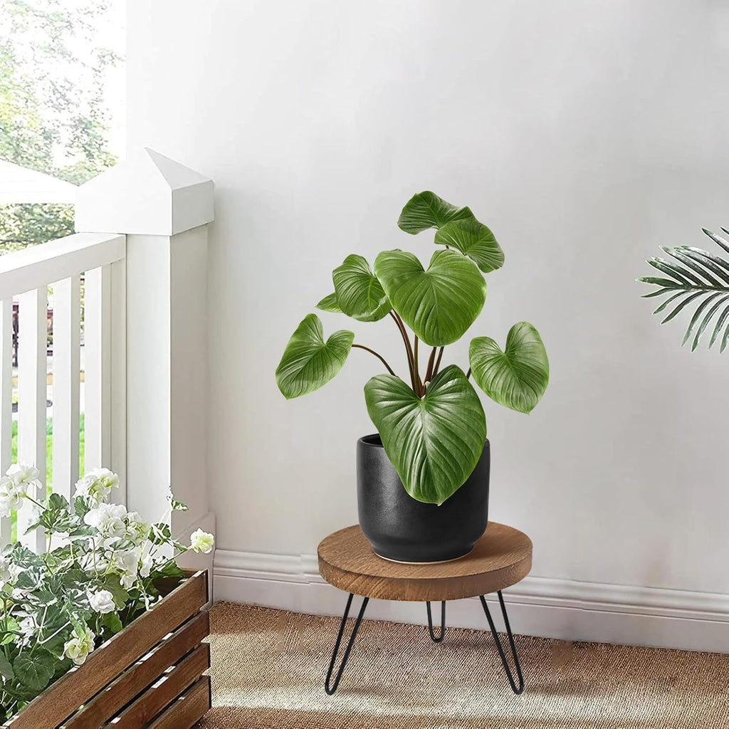Supporto per piante in legno, supporto rotondo resistente per vasi a 3 gambe per vasi di varie dimensioni, espositore per fiori per casa e giardino, patio interno ed esterno