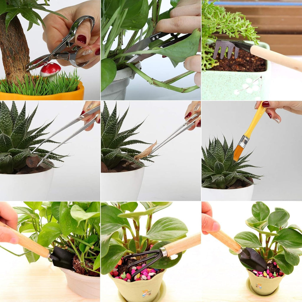 10 Peças Mini Ferramentas para Bonsai Kits de Ferramentas de Jardinagem Plantação de Cactos Suculentas Plantas Vaso