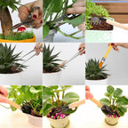 10 Peças Mini Ferramentas para Bonsai Kits de Ferramentas de Jardinagem Plantação de Cactos Suculentas Plantas Vaso