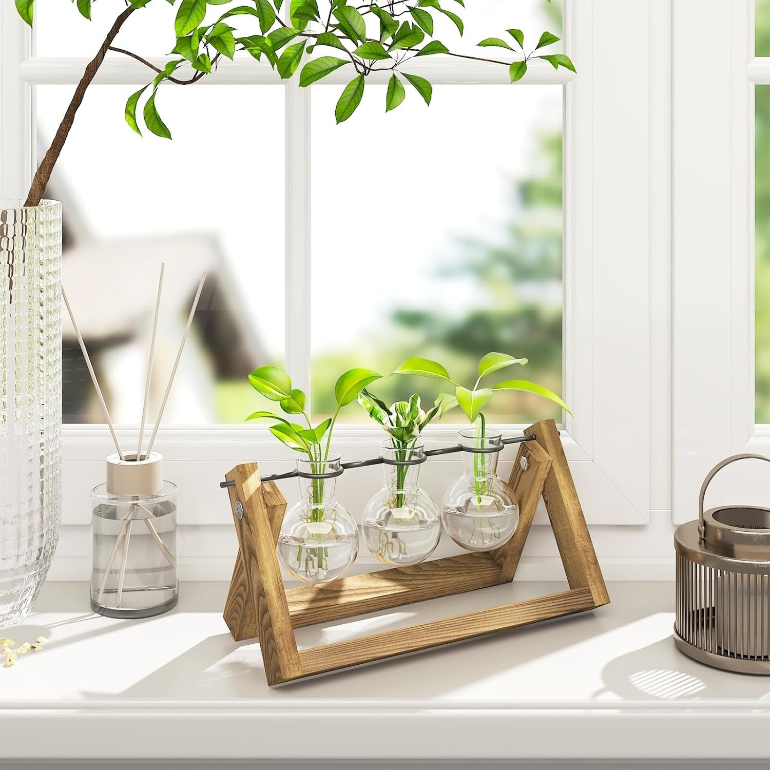 Estação de propagação de plantas hidropónicas com suporte de madeira 3 vasos de vidro para cultivo de plantas em água e decoração