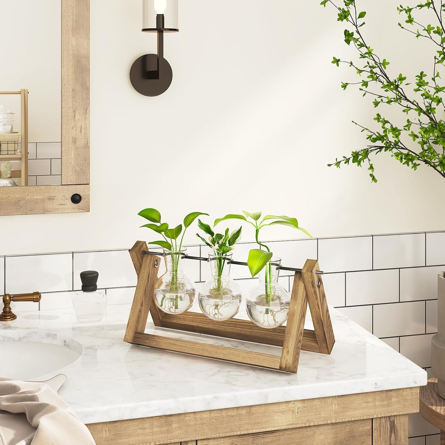 Estação de propagação de plantas hidropónicas com suporte de madeira 3 vasos de vidro para cultivo de plantas em água e decoração