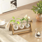 Estação de propagação de plantas hidropónicas com suporte de madeira 3 vasos de vidro para cultivo de plantas em água e decoração